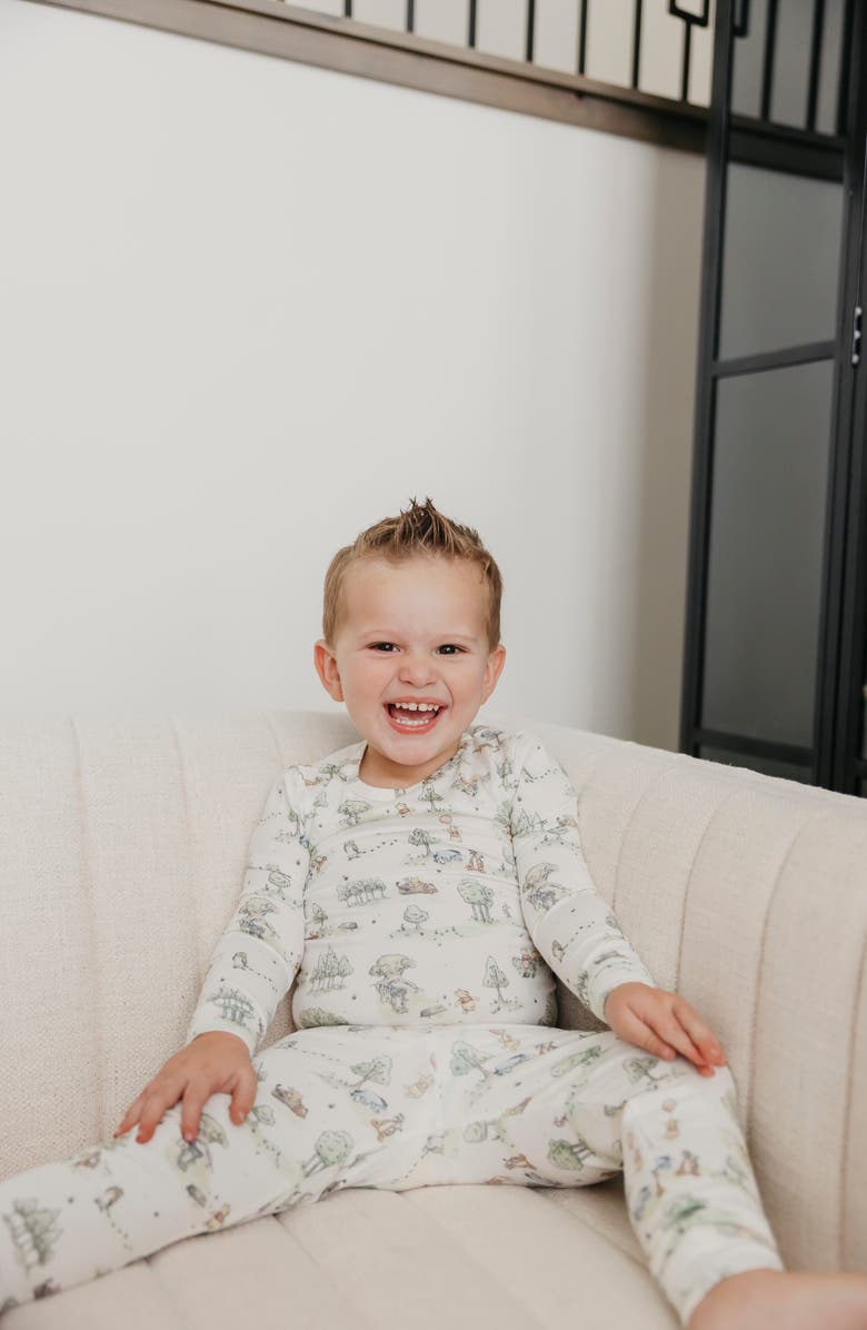 Copper Pearl Hundred Acre Woods Fitted Two-Piece Pajamas, Alternate, color, Hundred Acre Wood