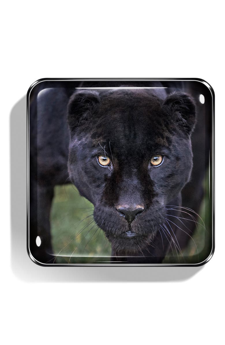 Chantecaille Jaguar Eyeshadow Palette, Alternate, color, 