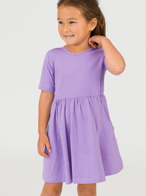 Rufflebutts Knit Short Sleeve Twirl Dress In Purple