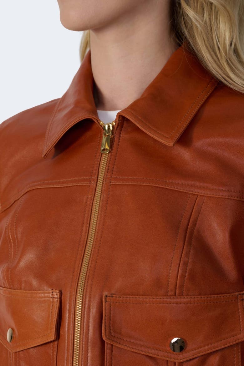 Flora Leather Jacket, Alternate, color, Whiskey