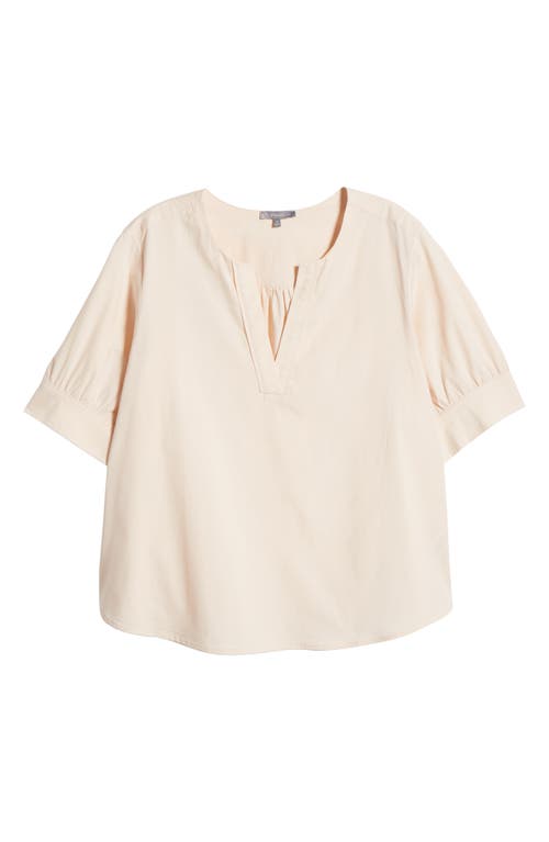 Wit & Wisdom Cuffed Elbow Sleeve Top In Stone