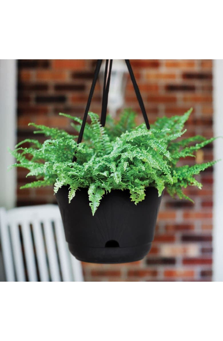 Bloem 13 Inch Lucca Self Watering Hanging Basket, Black, Alternate, color, Black