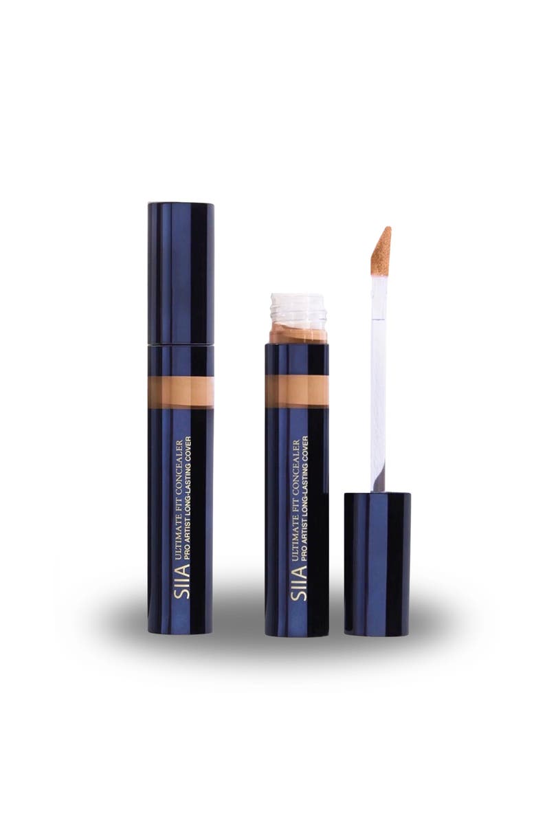 Siia Cosmetics 2-Pc. Ultimate Fit Concealer Duo, Main, color, Hazelnut