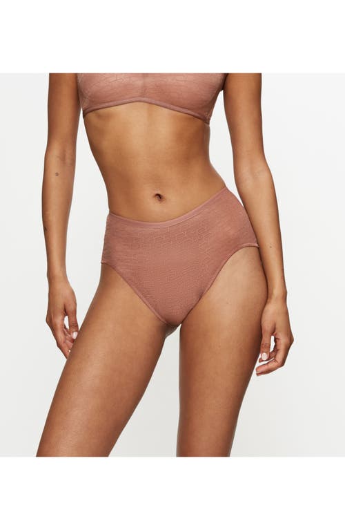 Triumph Signature Sheer Brief Panties In Brown
