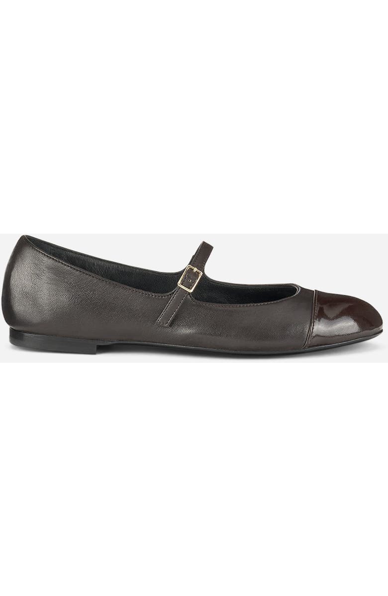 AGL Milly Cap Toe Ballet Flat, Main, color, Testa Di Moro Nappa