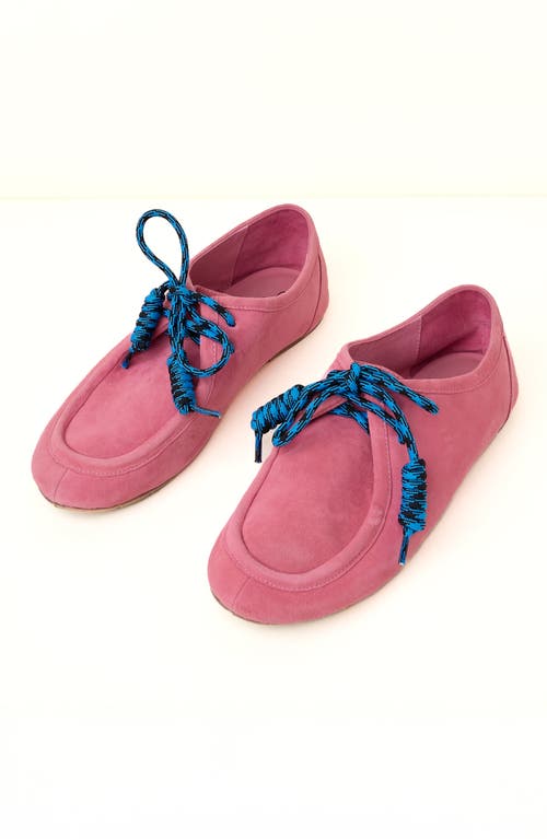 Charlotte Stone Ryan Ballet Loafer Flat In Pink