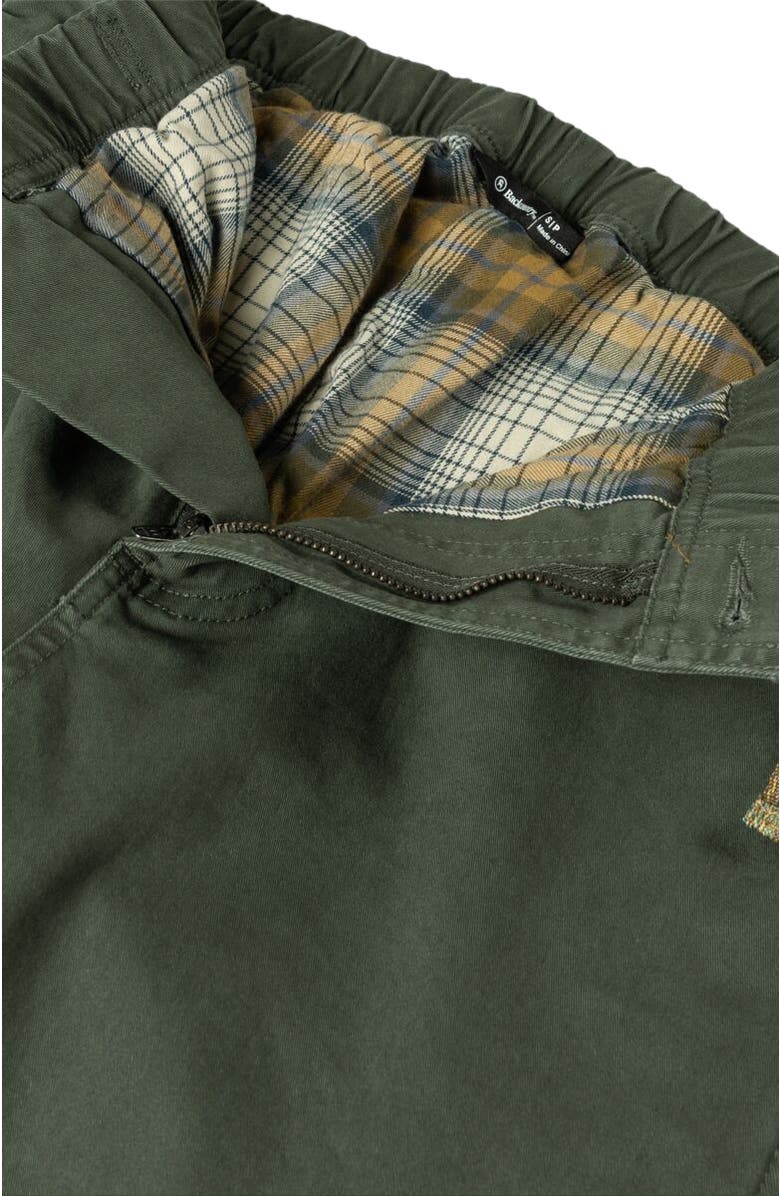 Backcountry Venture Daily Flannel Lined Pant - Women's, Alternate, color, Climbing Ivy