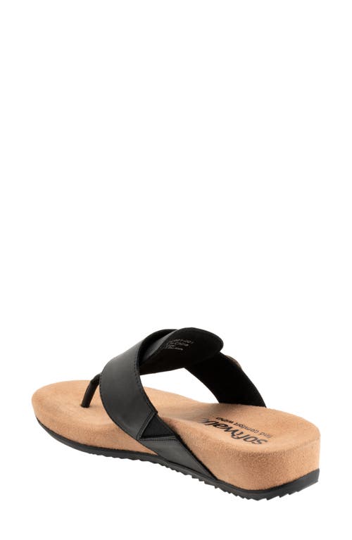 Softwalk ® Belize T-strap Sandal In Black