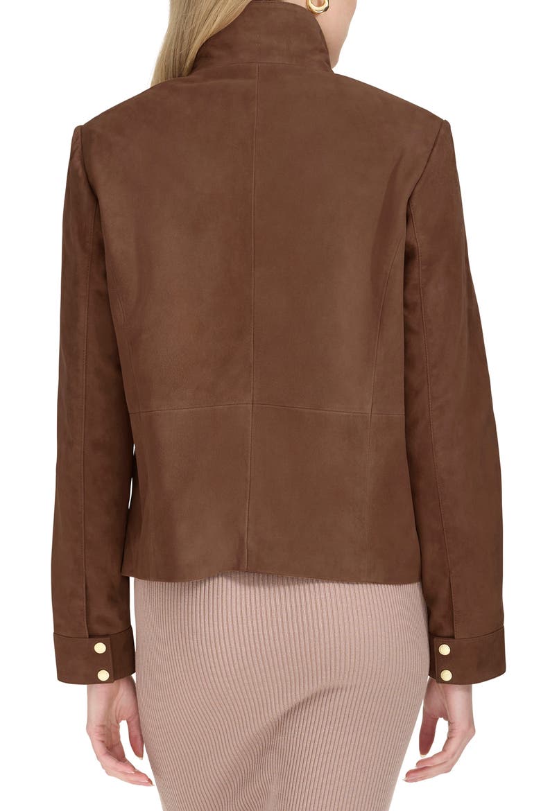 Suede Jacket, Alternate, color, CHOCOLATE