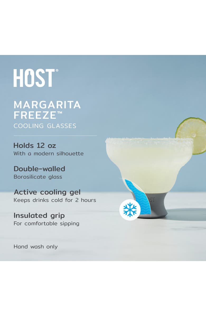 HOST Glass FREEZE Margarita Cooling Cup Set of 2, Alternate, color, Gray
