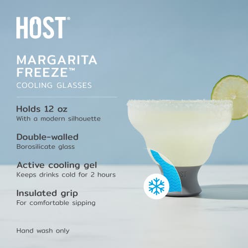 Host Glass Freeze Margarita Cooling Cup Set Of 2 In Gray