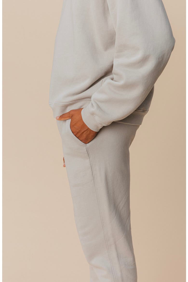 Men's Organic Cotton Teddy Everywhere Jogger, Alternate, color, Stone