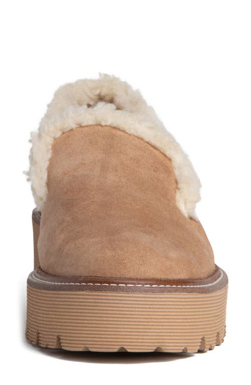 Beautiisoles Rio Faxu Shearling Trim Loafer In Camel