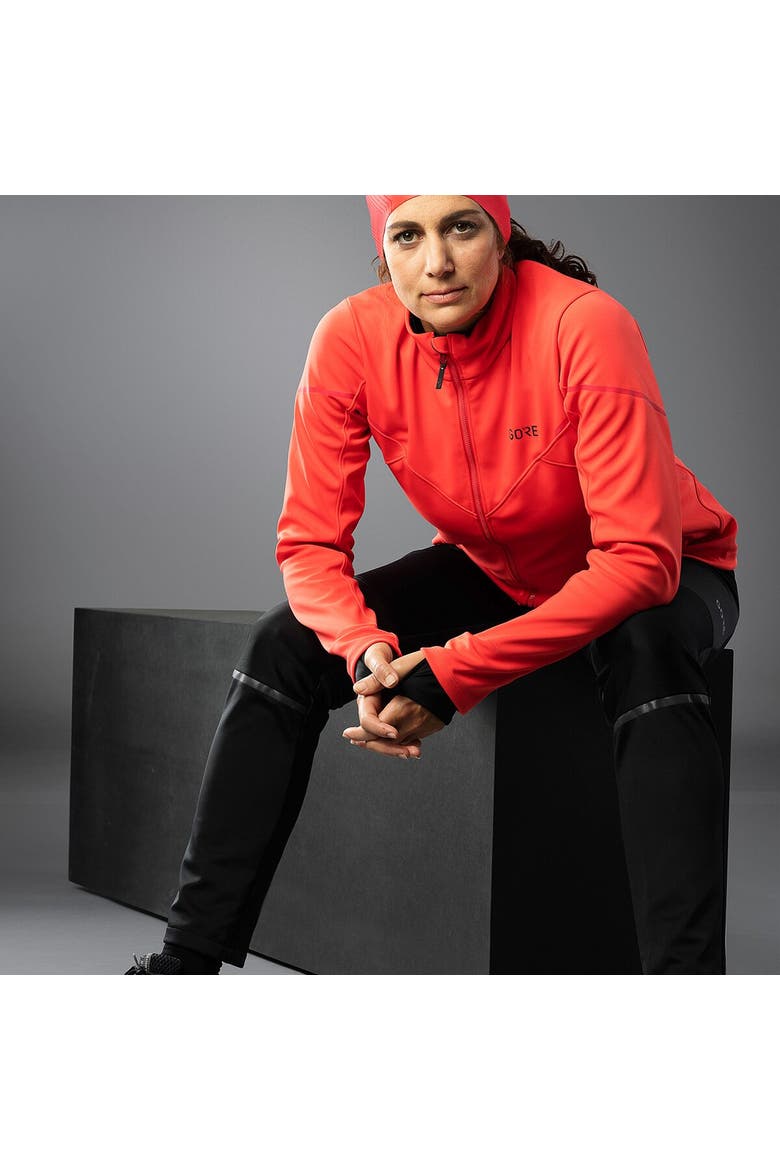 R5 Gtx Infinium Pant - Women's, Alternate, color, Black