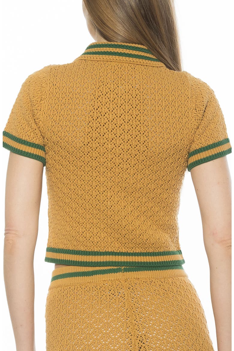 Brinley Crochet Stitch Polo, Alternate, color, YELLOW