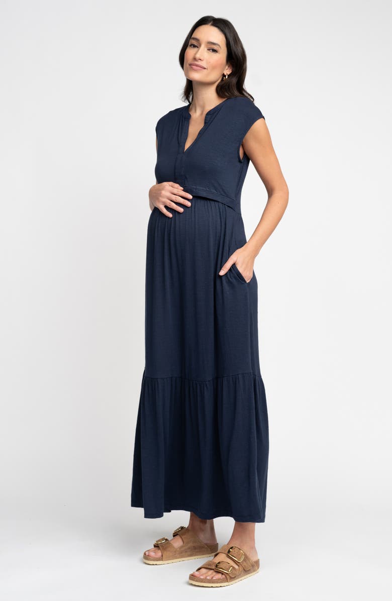 Seraphine Cap Sleeve Jersey Maternity/Nursing Dress, Alternate, color, 