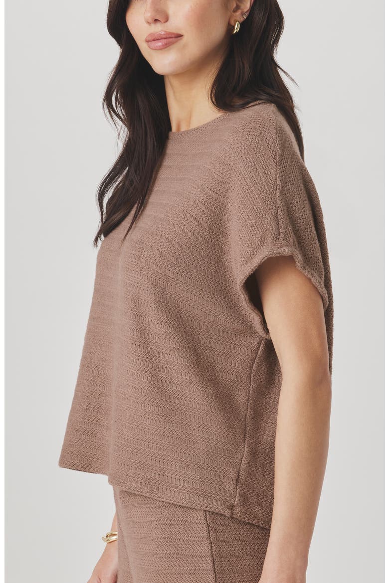 Marisol Short Sleeve Sweater, Alternate, color, WICKER BEIGE