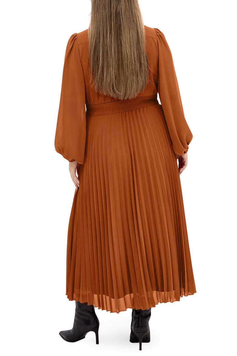 Sheer Finley Long Sleeve Chiffon Dress, Alternate, color, GINGER