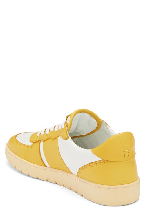 Collegium Pillar Destroyer Low Top Sneaker In Yellow