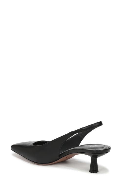 Sarto By Franco Sarto Raven Slingback Kitten Heel Pump