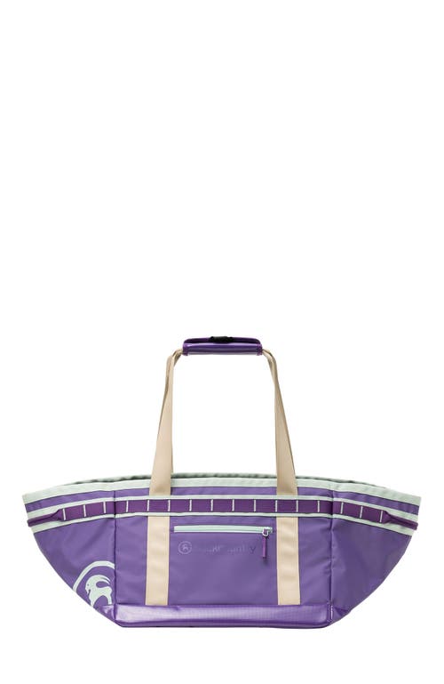 Backcountry All Around 36l Gear Tote In Purple