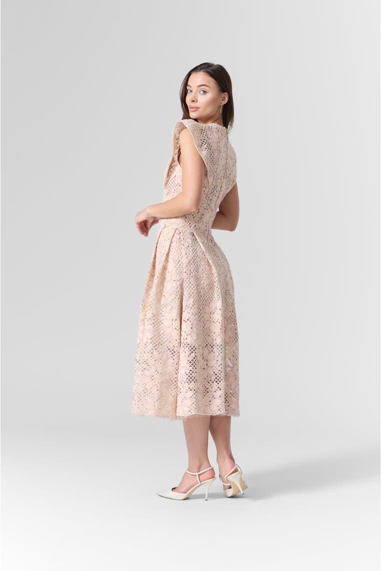 Pink Lace Embroidered Midi Dress, Alternate, color, light pink
