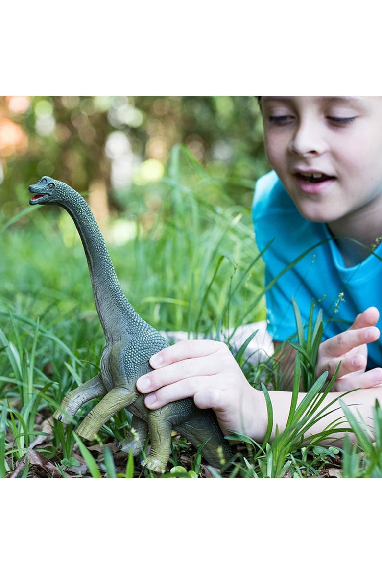 Brachiosaurus  9.6" Dinosaur Action Figure, Realistic Dino Collectible, Kids, Alternate, color, Multicolored