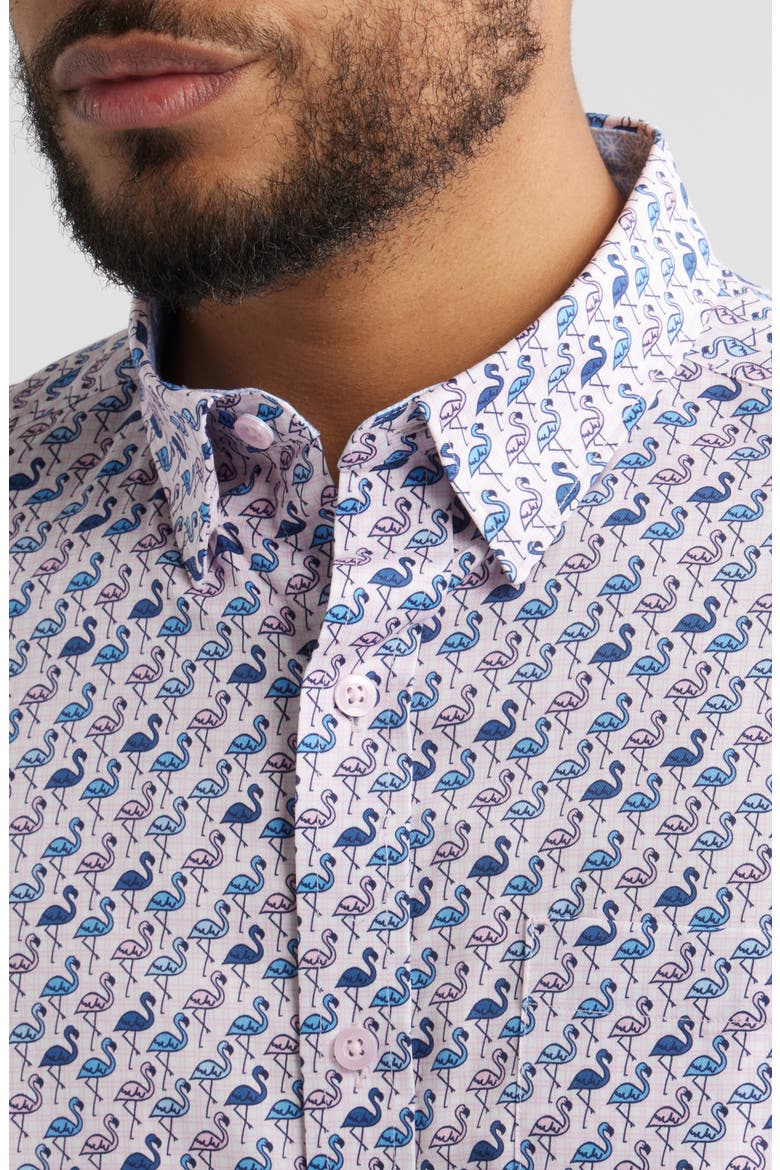 Logan Flamingo Print Short Sleeve Cotton Blend Button-Up Shirt, Alternate, color, PINK / BLUE FLAMINGOS