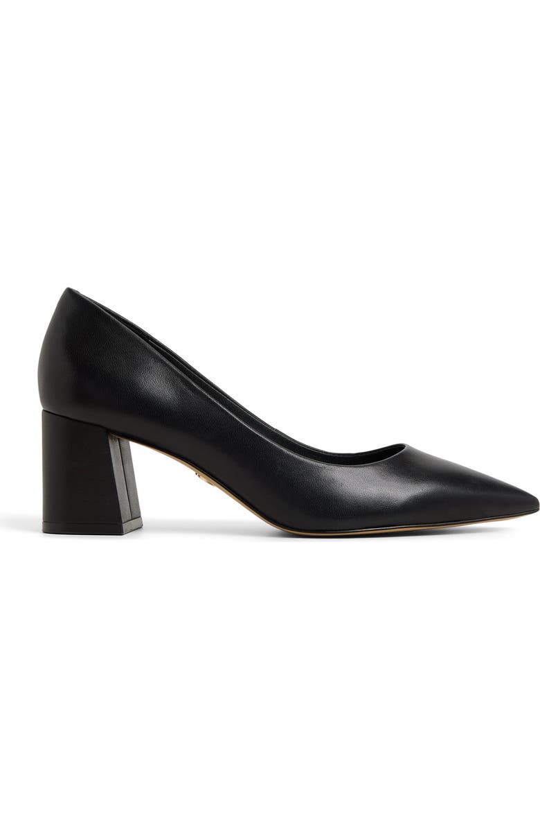 ALDO Ybalelin Pointed Toe Pump, Alternate, color, Black