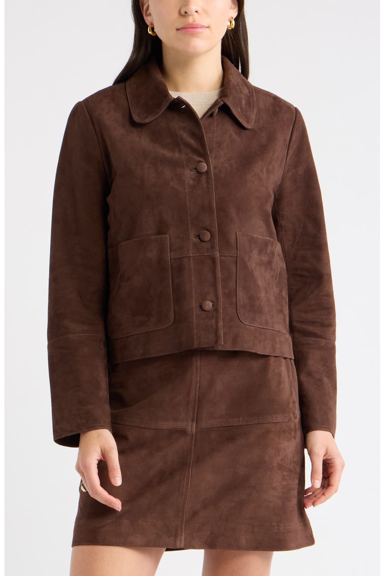 Suede Leather Jacket, Alternate, color, BROWN CHICORY