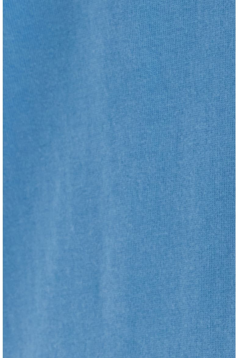 Authentic Cotton Graphic T-Shirt, Alternate, color, DUSTY BLUE