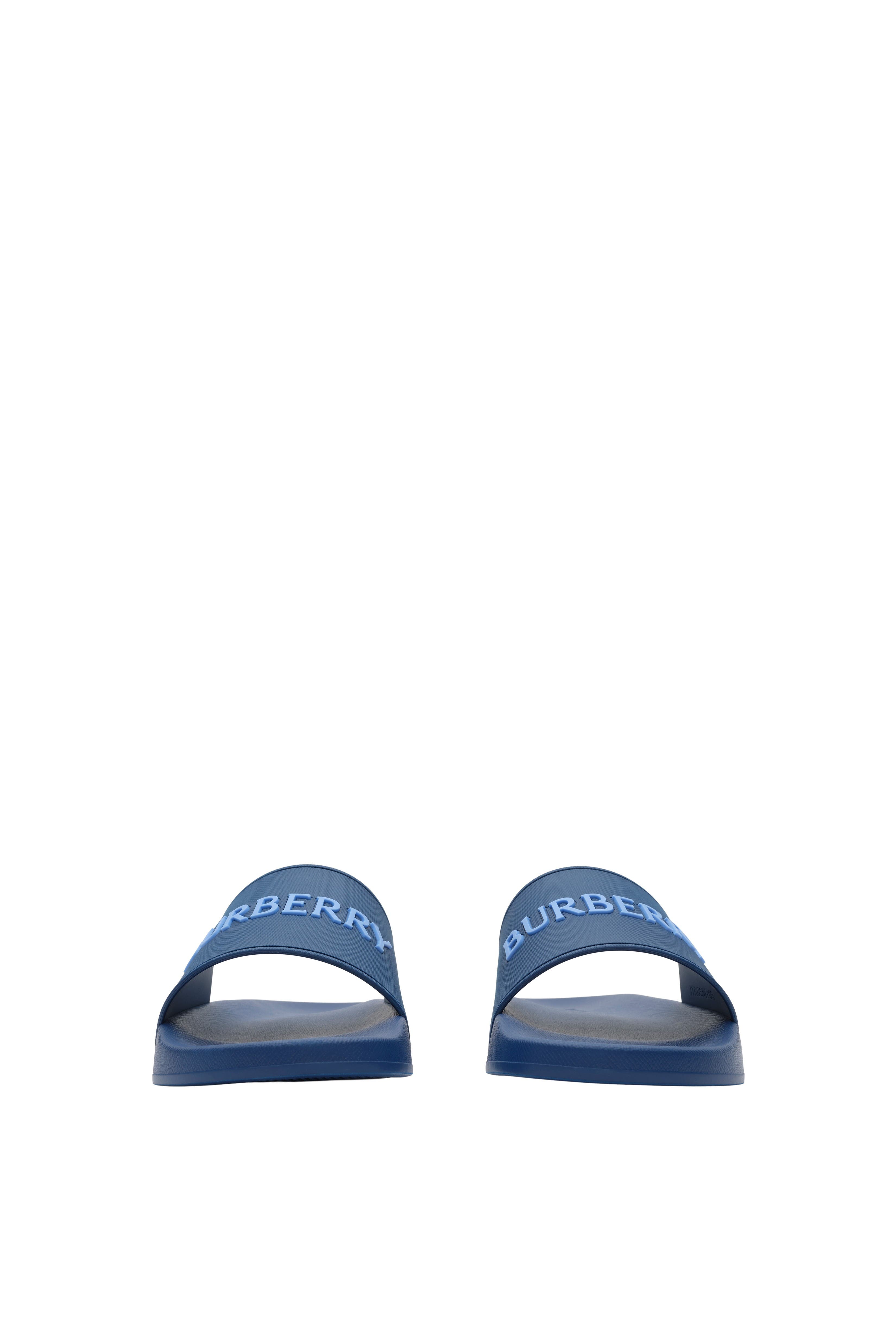Logo Slides, Alternate, color, Navy/cornflower blue