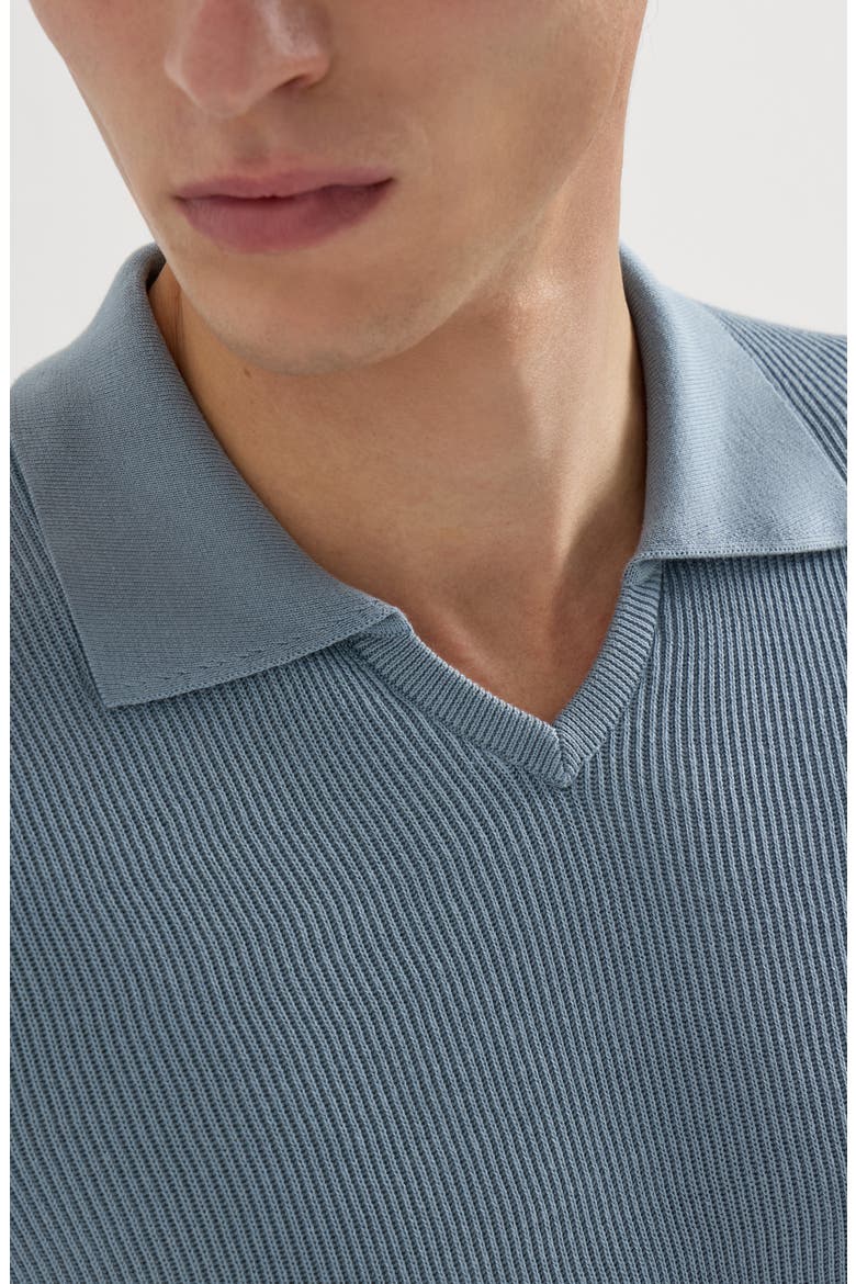 Cotton English rib knit polo, Alternate, color, Sky Blue