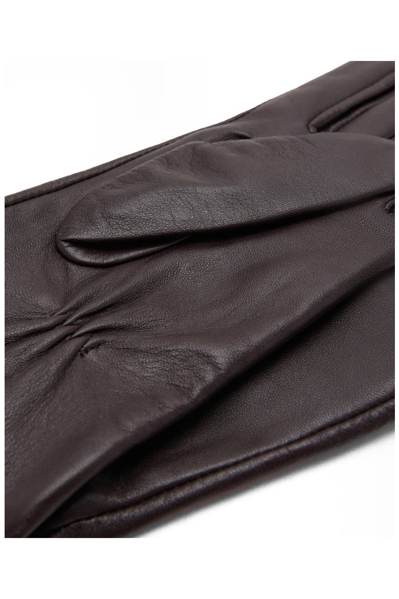 Long Leather Gloves, Alternate, color, CHOCOLATE