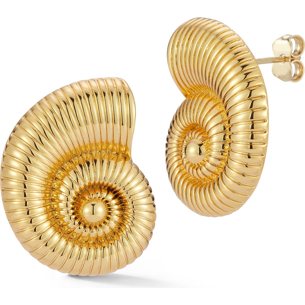 Glaze Jewelry Shell Earrings In Gold