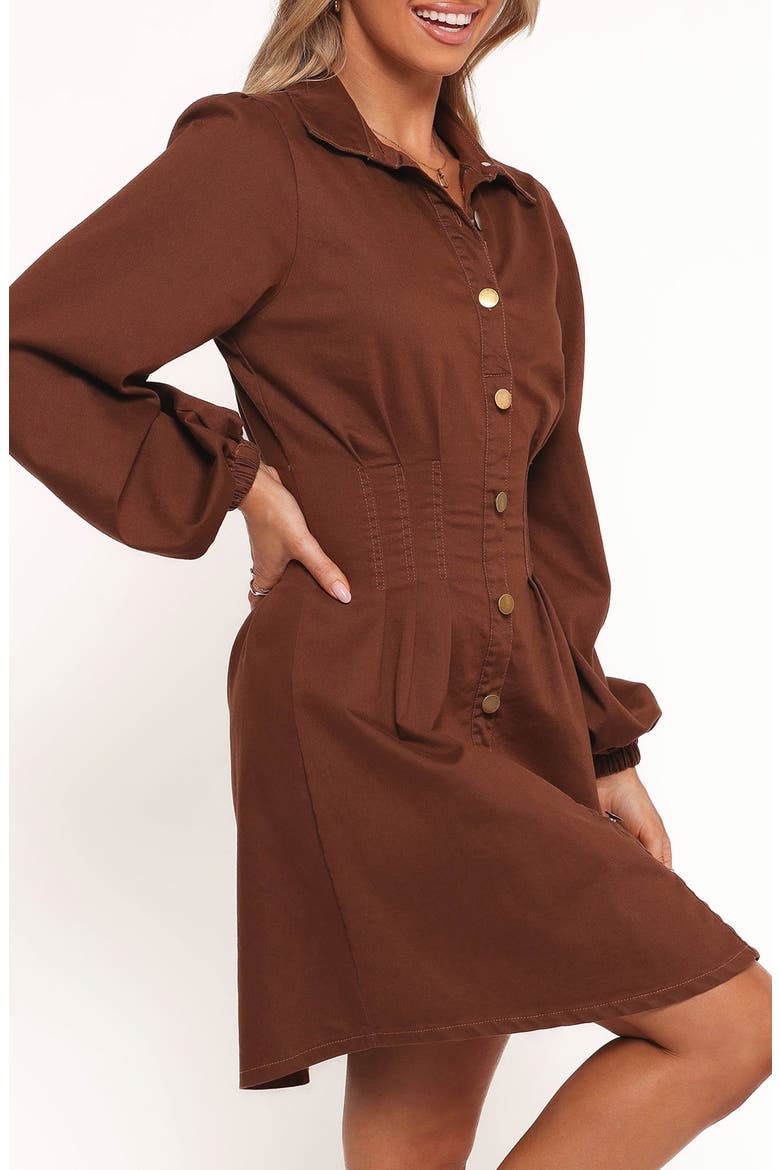 Phoenix Long Sleeve Minidress, Alternate, color, BROWN DENIM