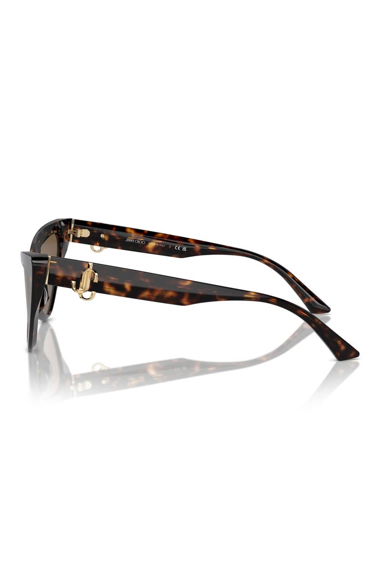 55mm Cat Eye Sunglasses, Alternate, color, HAVANA / DARK BROWN
