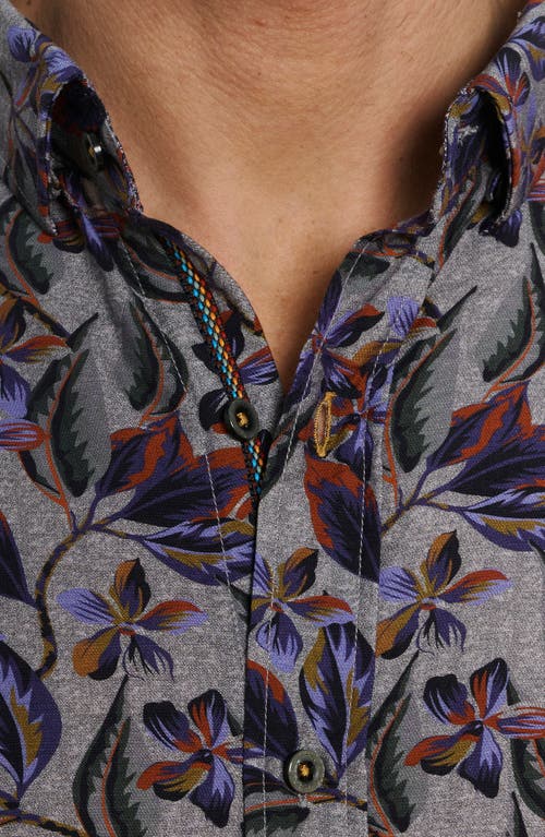 Robert Graham Ziton Tailored Fit Floral Cotton Button-up Shirt In Multi