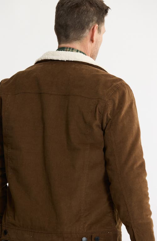Jachs Faux Shearling Lined Trucker Jacket In Brown