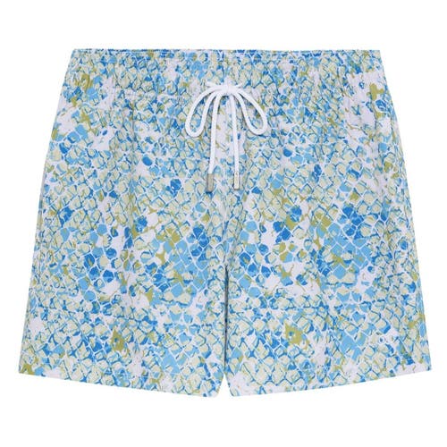 Shop Le Club Resortwear 4.25" Le Club 4 Way Stretch Mens Swim Trunk In White/blue