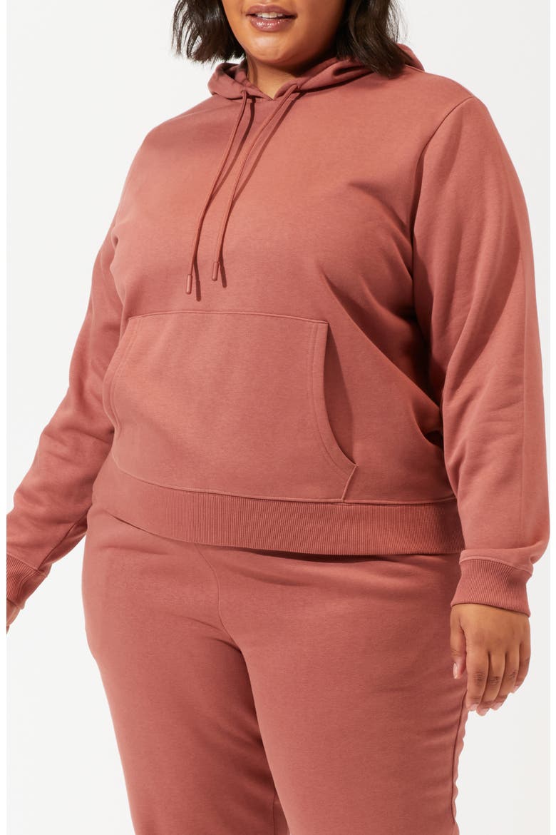 Invincible Fleece Hoodie, Alternate, color, CINNAMON