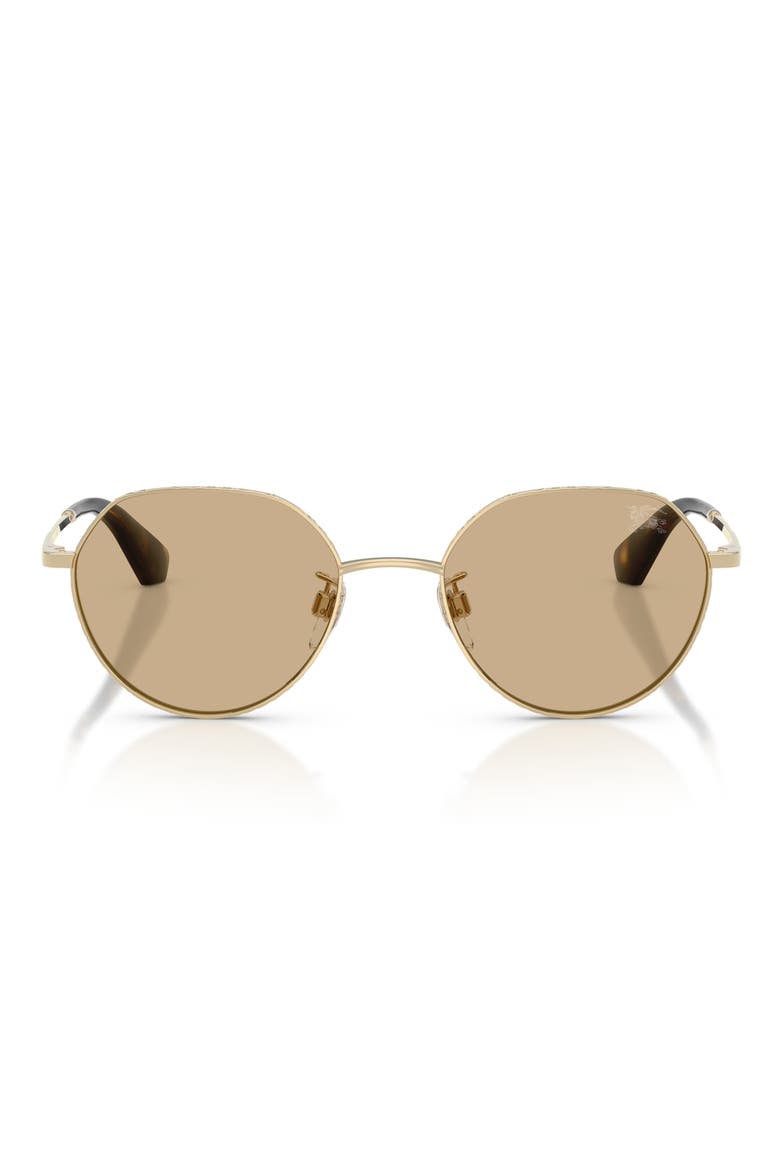 51mm Round Sunglasses, Main, color, LIGHT GOLD / DARK BROWN