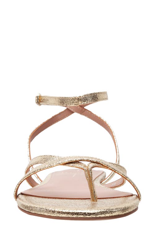 Linea Paolo Luz Ankle Strap Sandal In Gold