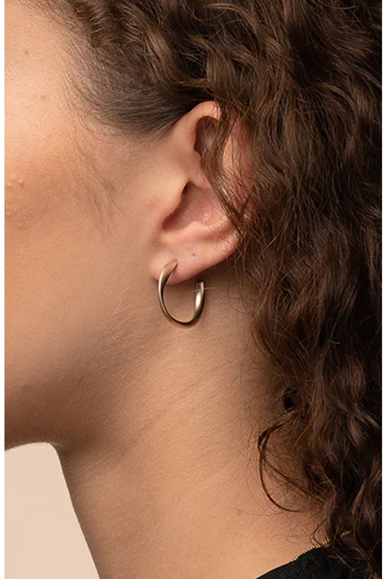 Leslie Small Sculpted Oval Hoop Earrings Dainty Trendy, Alternate, color, Warm Bronze