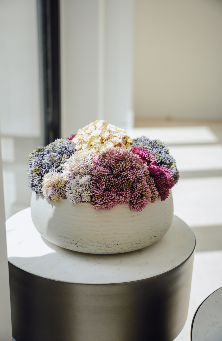 CocoBella Deveraux Sedum Arrangement, Alternate, color, Multi-Color