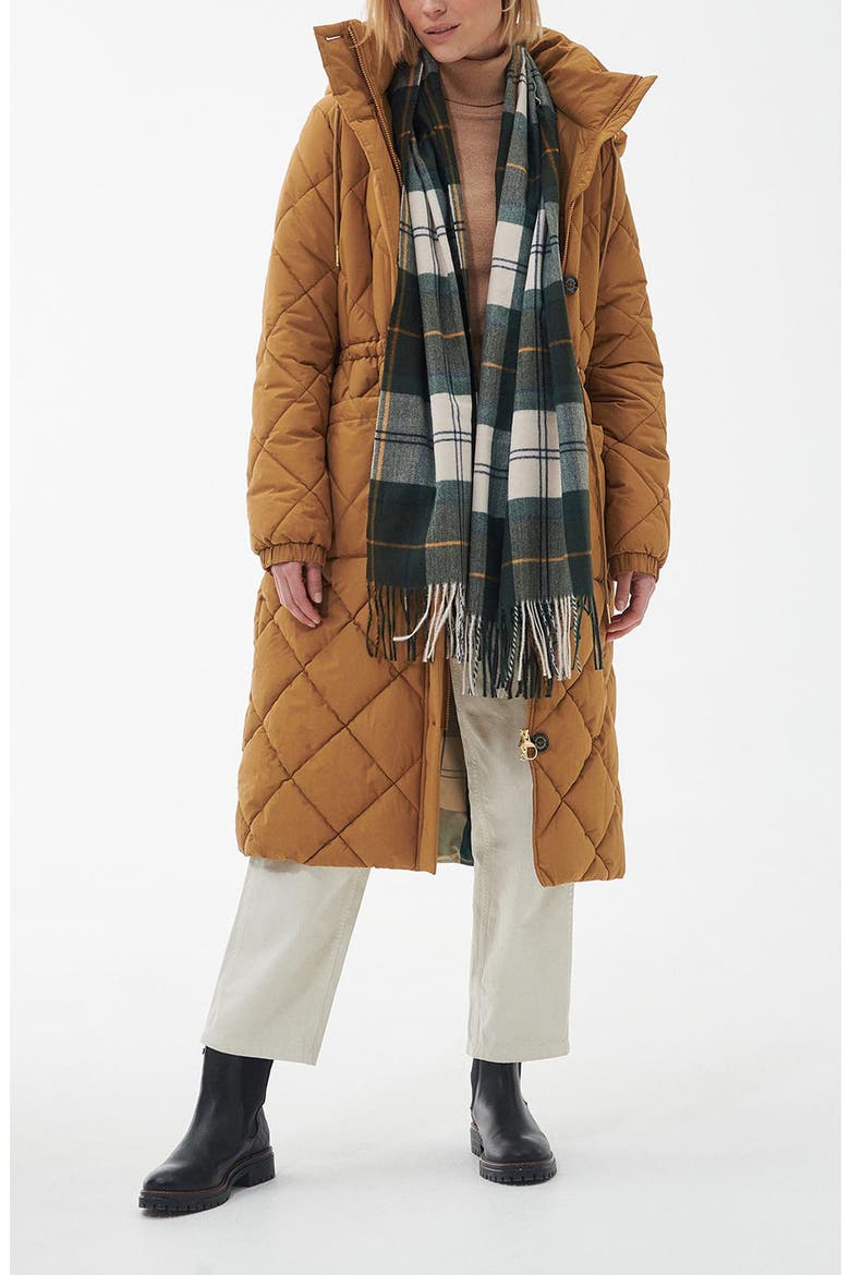 Hailes Tartan Fringe Scarf, Main, color, ANCIENT TARTAN