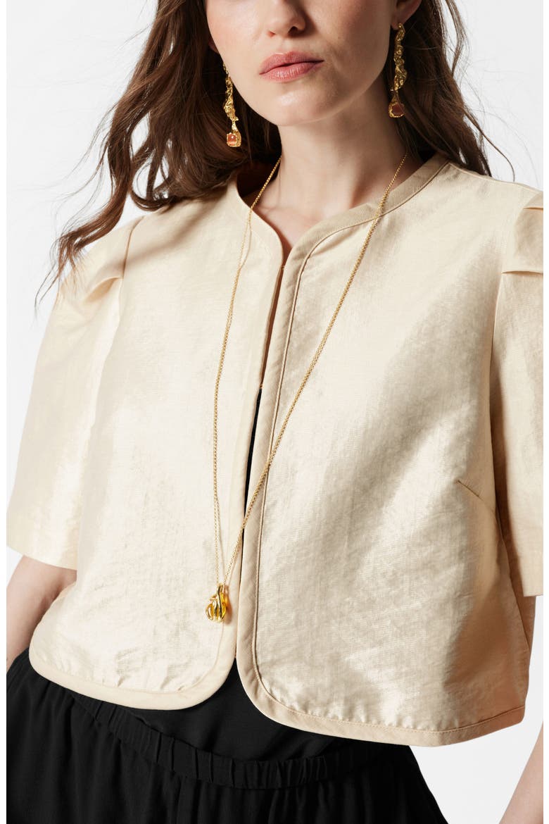 Chada Speed Puff Sleeve Crop Top, Alternate, color, WHITE DUSTY LIGHT
