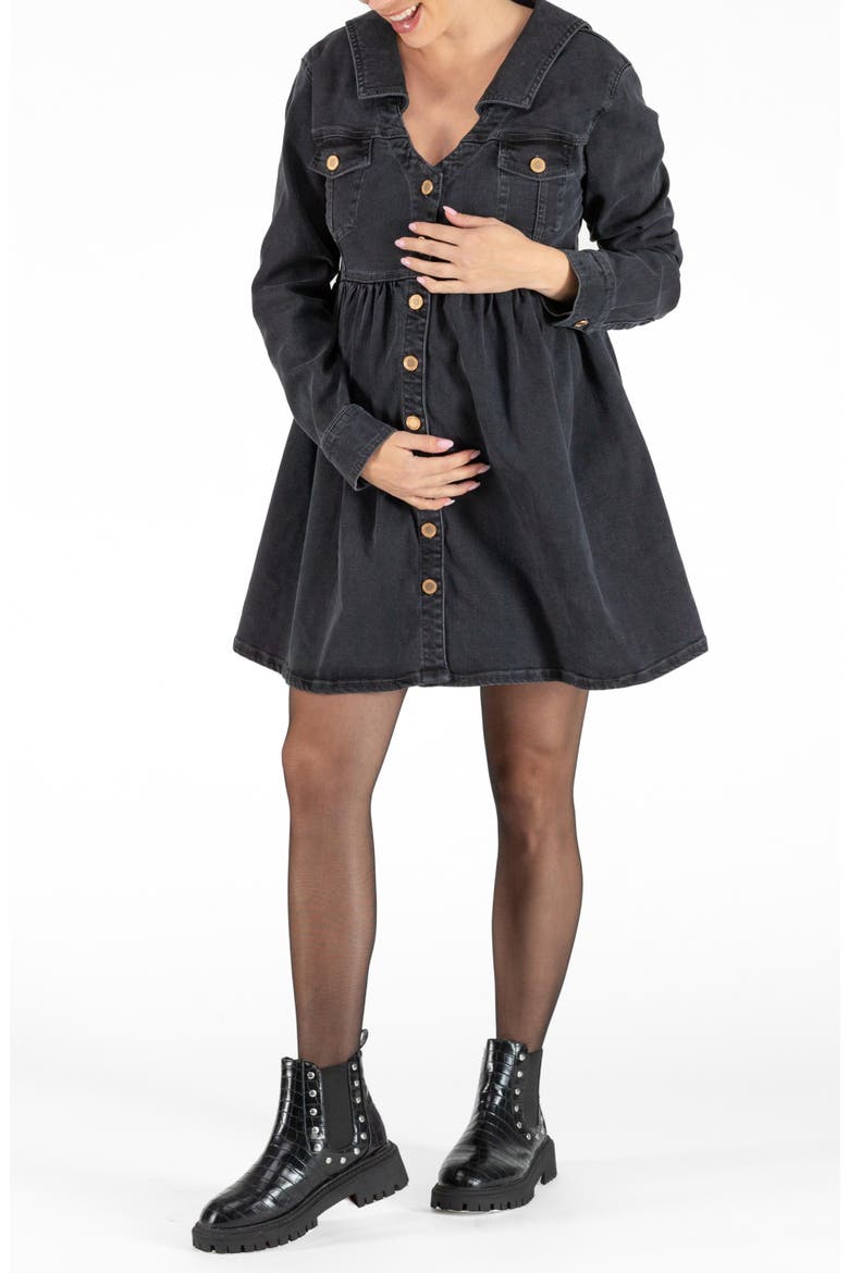 Nina Long Sleeve Denim Maternity/Nursing Dress video