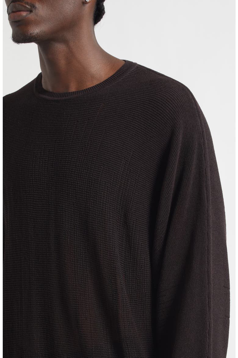 Brush Close-Up Crewneck Sweater, Alternate, color, BROWN