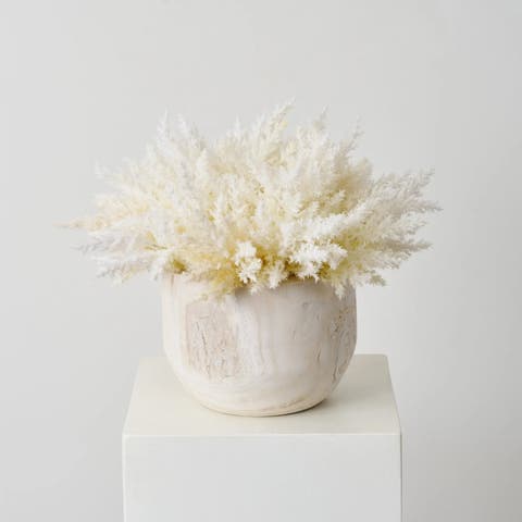 Bleached Ivory Cream Pampas Grass in wood bowl
